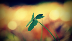 自动升降平台车安全使用高度是多少，自动升降平台车使用步骤