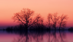 自动升降平台车安全使用高度是多少，自动升降平台车使用步骤